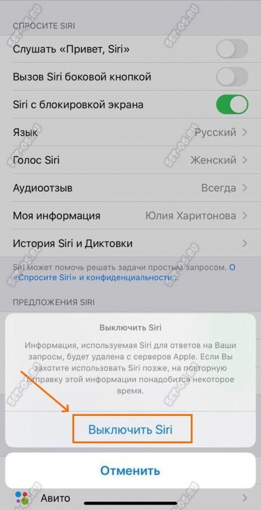 Как выключить Siri на айфоне